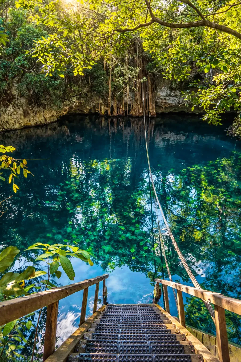 Cenote surrounded by jungle near Puerto Morelos