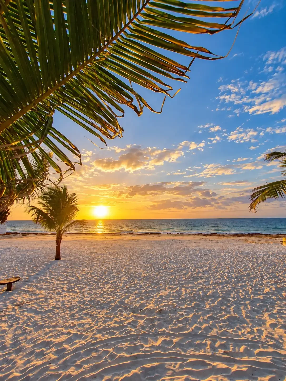 Puerto Morelos beach on the Mexican Caribbean